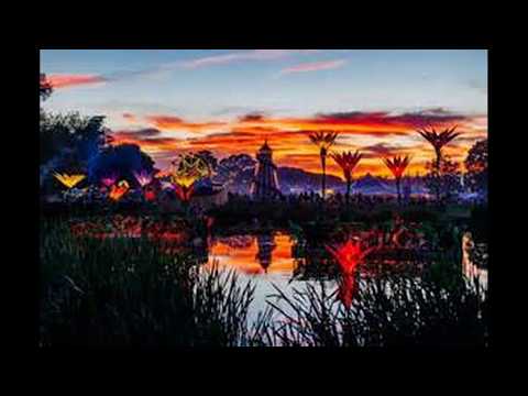 Shambala 2016 jungle and dub wise mix