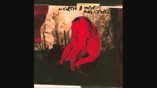 Aki Onda - Flickering Lights