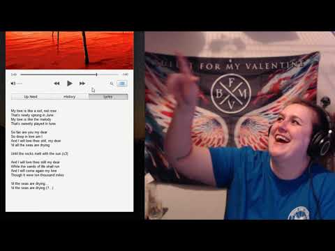 Reaction! Pelican - Final Breath