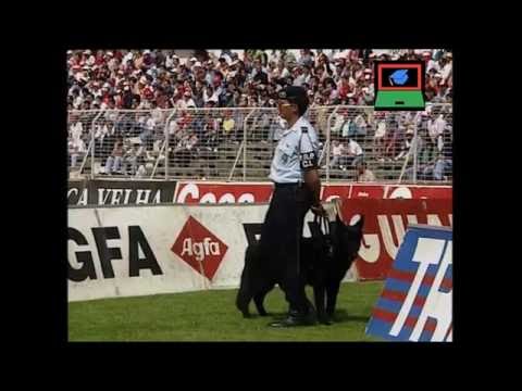 Estatística inferência estatística - estuda na net