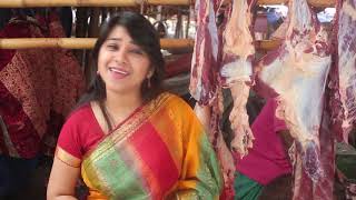 কৃত্রিম প্রজনন গান