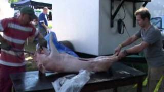 Video VEGA ANERICAN DREAM