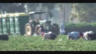 Immigration in Agriculture Documentary Part 1 of 2