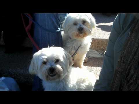 video frame placeholder