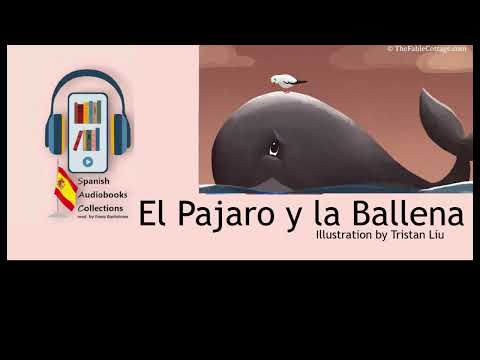 El Pajaro y La Ballena | Spanish Audiobooks