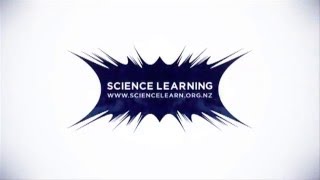 Mounting Moths: Science Learning Hub