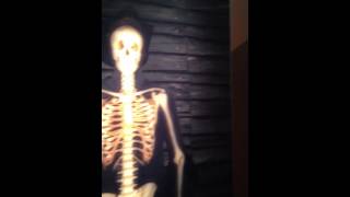 Dem bones dem bones!