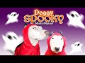 Doggy Spooky Music Video | MisterMainer