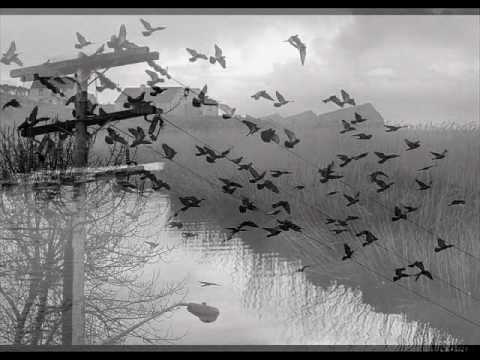 Bob Carpenter : The Believer