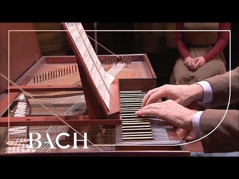 Bach - Chromatic Fantasia and fugue in D minor BWV 903 - Van Delft | Netherlands Bach Society