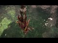 Horizon Forbidden West - Swan Dive - How to in description