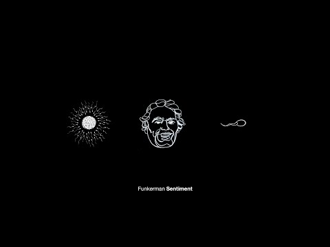 Funkerman ft. Enlery - Things I Meant to Say