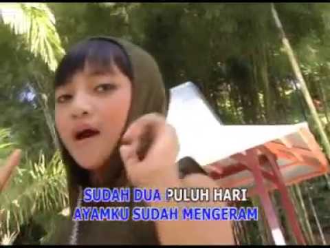 LAGU ANAK AYAM KESAYANGAN COVER TRIO IMUT