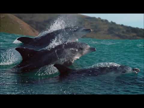 Leon  - Planet Blue   (    Maxi Remix DJ Tranceman