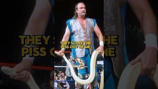 Download lagu Jake 'The Snake' Roberts Is Scared Of Snakes mp3