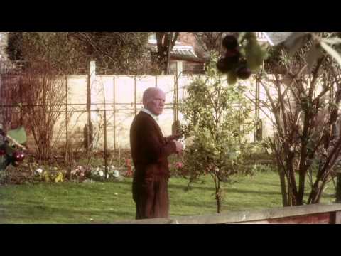 Allianz Klassiker: „Kirschbaum“ – Erinnern Sie sic