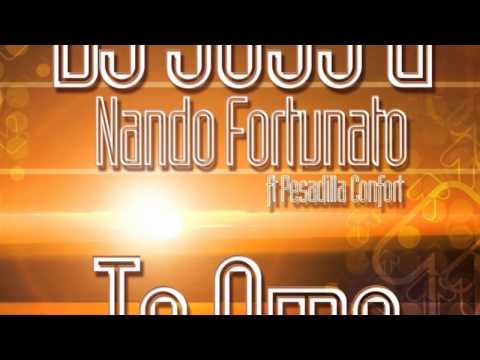 Dj Joss & Nando Fortunato Feat Pesadilla Confort - Te Amo (radio Edit)