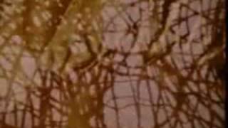 Ray Columbus-Kick Me