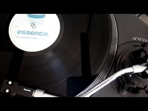 Dajae & Full Intention