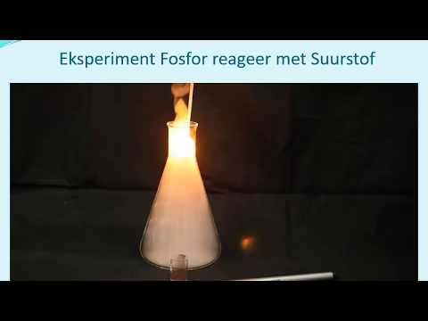 FISIESE WETENSKAP GRAAD 9: 21 April 2020 - periode 6 (2196)