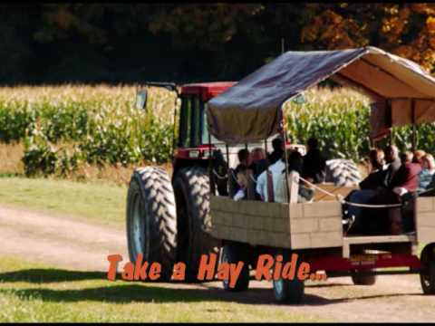 download lagu mp3 mp4 Craven Farm Pumpkin Patch, download lagu Craven Farm Pumpkin Patch gratis, unduh video klip Craven Farm Pumpkin Patch