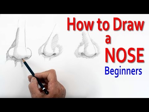 How to Draw a Nose Beginners