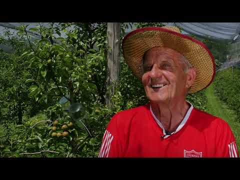 Agro karavan ep. 85 14.07.2019. Laktaši