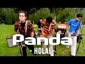 Panda - Hola!