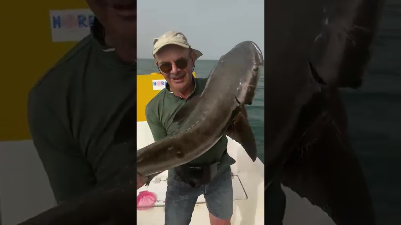 Hôtel Kasa Afrikana