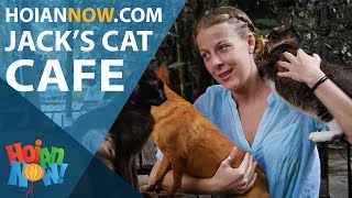 Jack's Cat Cafe Hoi An - an inspiring story of 72 rescued strays
