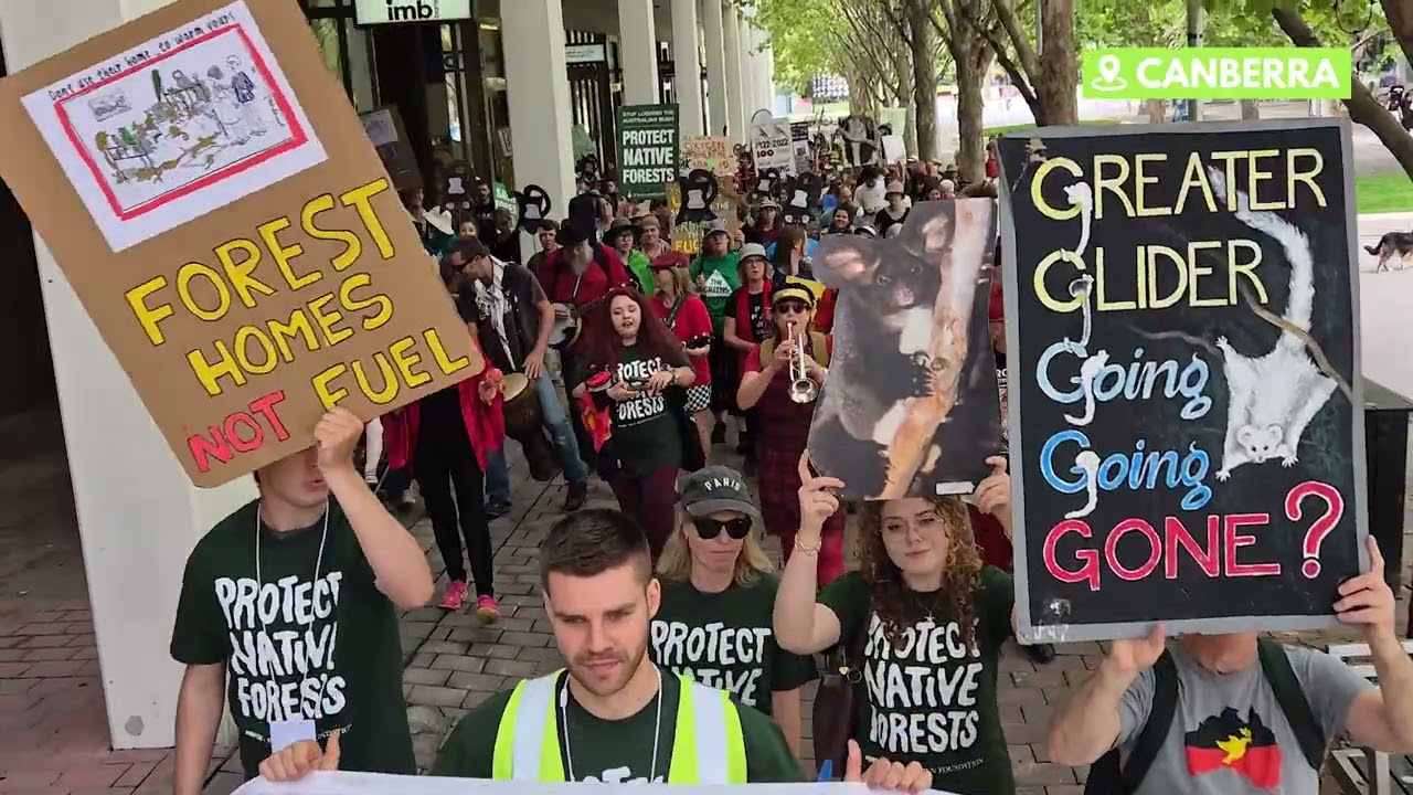 Watch March for Forests wrap-up video