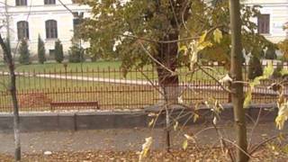 A Million in One 2010