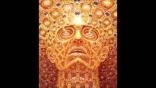 AnimalMind with Jerry Garcia/Pete Sears