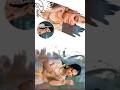 Wedding Album Editing In Picsart In Tamil Jss Edits Vlogs
