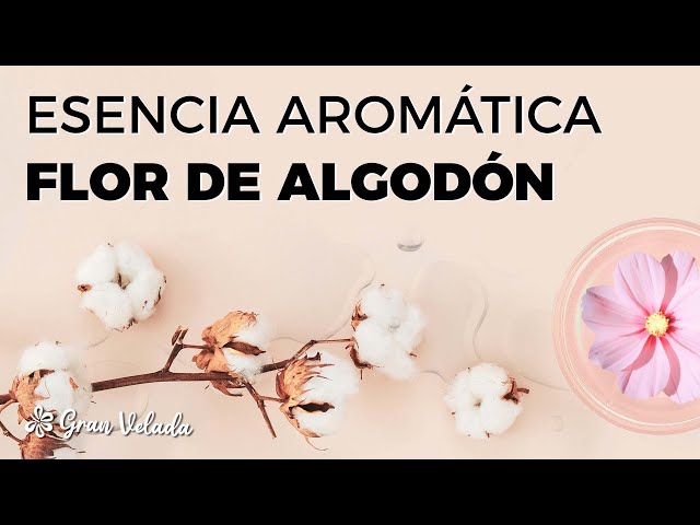 Vídeo relacionado con Niebla perfumada para el cuerpo y el cabello, 75 ml, flor de algodón