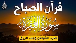 قرآن الصباح في رمضان ☀️ قرآن كريم بصوت جميل جدا 💚 تلاوة هادئة تريح الاعصاب وتهدئ النفس💚 quran karem
