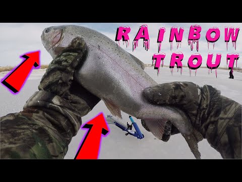Ice Fishing For Giant Rainbow Trout! / FIRST CATCH 2021! / BIG RAINBOW FINALLY!! / Stocked Trout