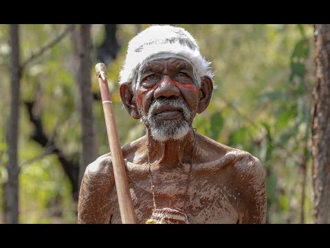 Ḻuku Ngärra: The Law of the Land Trailer