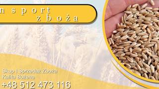 Zobacz filmy filmy