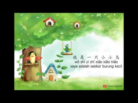wo shi yi zhi xiao xiao niao 我 是 一 只 小 小 鸟- lyrics