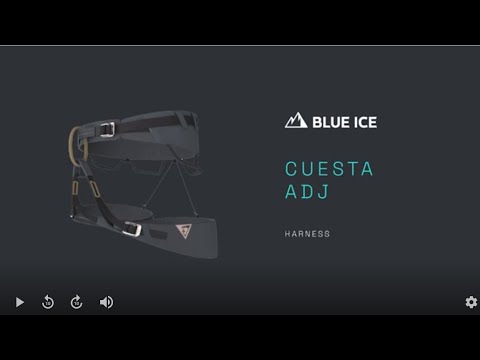 Thumbnail Youtube