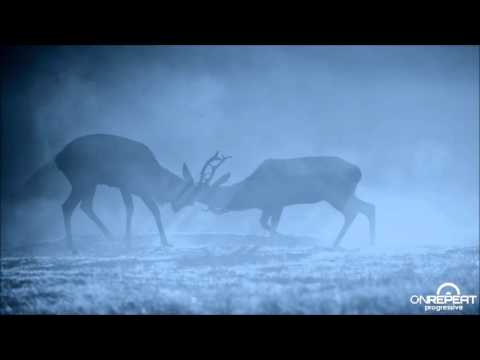 Ryo Nakamura | Forever (Original Mix)