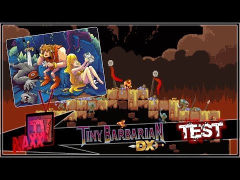Tiny Barbarian DX PC