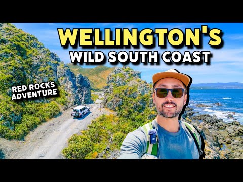 This is in WELLINGTON!? Incredible Coastal Adventure at Red Rocks | New Zealand Travel