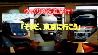 ゆっくり霊夢と魔理沙が行く鉄道旅行①～東京へ行こう～
