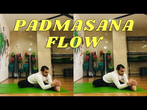 Padmasana Or Lotus Pose Yoga Flow || With Master Sourav || Kiows.