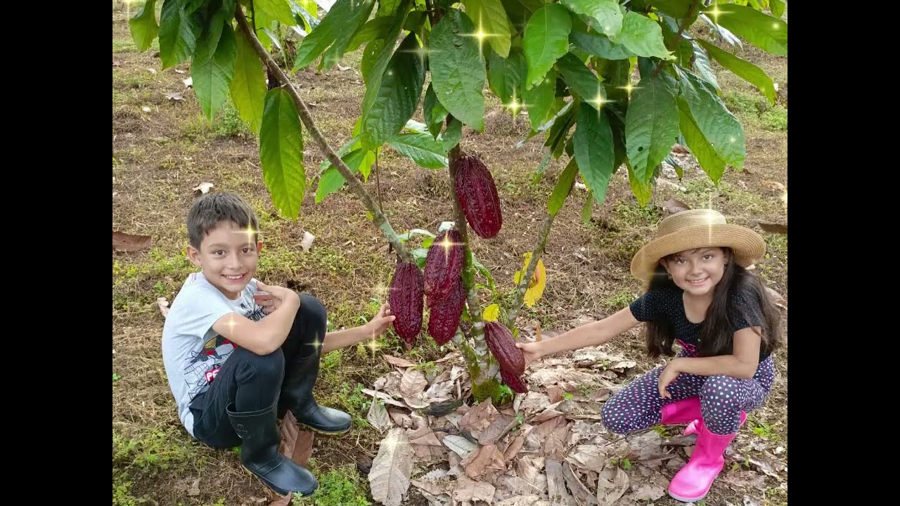 Villa Campo Alegre Armonía Natural y Relax