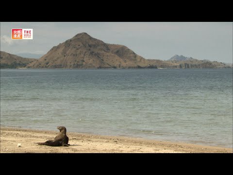 Komodo National Park (Indonesia) / TBS