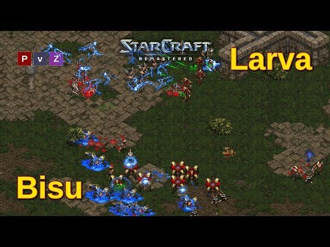 BISU VS LARVA IN A MASTERCLASS ON HOW TO PLAY STARCRAFT