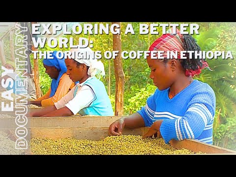 Exploring a Better World: The Origins of Coffee in Ethiopia - Full Travel Documentary